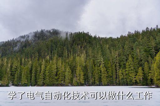 河北自動(dòng)化電氣控制系統(tǒng)功能,電氣自動(dòng)化控制系統(tǒng)的設(shè)計(jì)思想