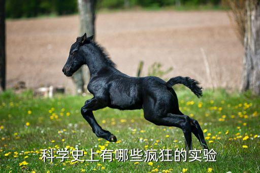 科學(xué)史上有哪些瘋狂的實(shí)驗(yàn)