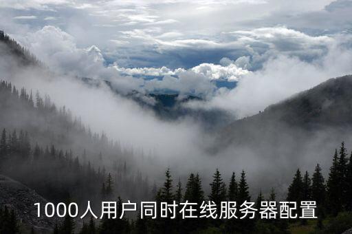1000人用戶同時在線服務器配置