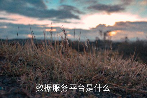 數(shù)據(jù)服務(wù)平臺是什么