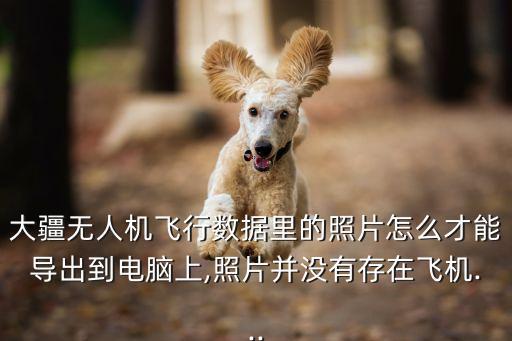 大疆無人機飛行數(shù)據(jù)里的照片怎么才能導(dǎo)出到電腦上,照片并沒有存在飛機...