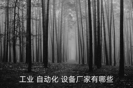 工業(yè) 自動化 設(shè)備廠家有哪些