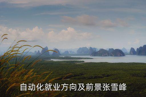 自動(dòng)化專業(yè)應(yīng)聘互聯(lián)網(wǎng)行業(yè),自動(dòng)化專業(yè)是干什么的?