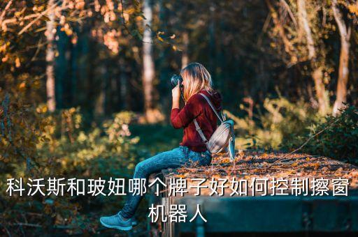 科沃斯和玻妞哪個牌子好如何控制擦窗機器人