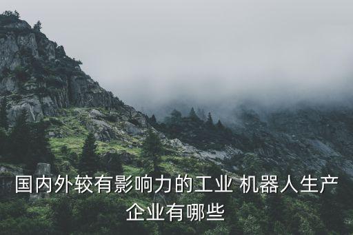 國內(nèi)外較有影響力的工業(yè) 機器人生產(chǎn)企業(yè)有哪些