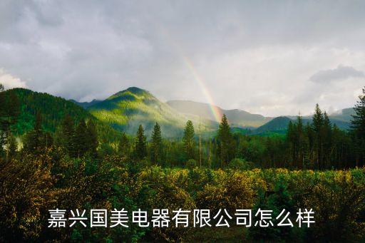 嘉興國美電器有限公司怎么樣