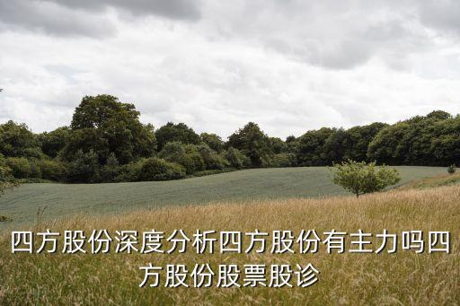 智能自動化電力設(shè)備龍頭,電力行業(yè)龍頭股