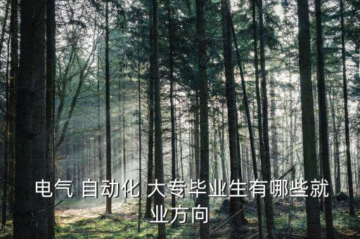  電氣 自動化 大專畢業(yè)生有哪些就業(yè)方向