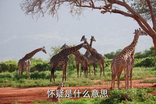 心視界,我懷疑眼視界會不會騙錢?