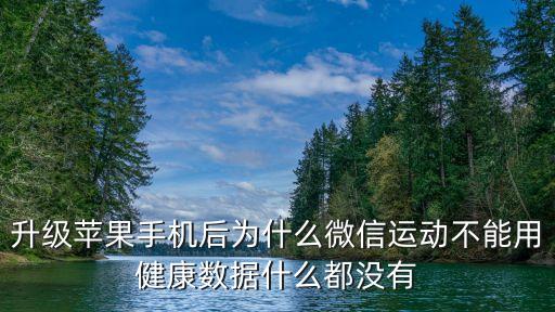 ios11健康無數(shù)據(jù),蘋果11無服務(wù)怎么解決?