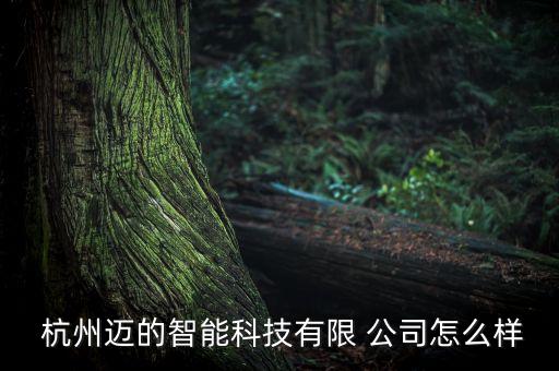 杭州創(chuàng)城自動化公司,杭州自動化公司前十名