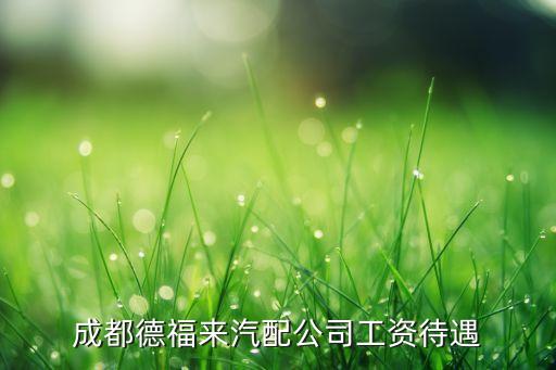 成都德福來汽配公司工資待遇