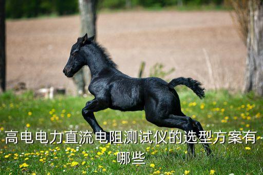 高電電力直流電阻測試儀的選型方案有哪些