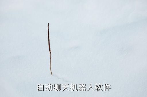 自動聊天機器人軟件