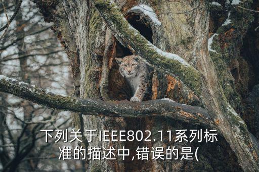 下列關(guān)于IEEE802.11系列標(biāo)準(zhǔn)的描述中,錯(cuò)誤的是(