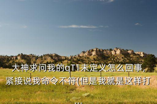 大神求問我的qT1未定義怎么回事,緊接說我命令不符(但是我就是這樣打...