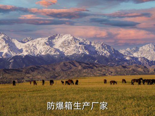 房山區(qū)防爆自動(dòng)化設(shè)備原料,防爆型軌跡設(shè)備廠(chǎng)家有哪些公司?
