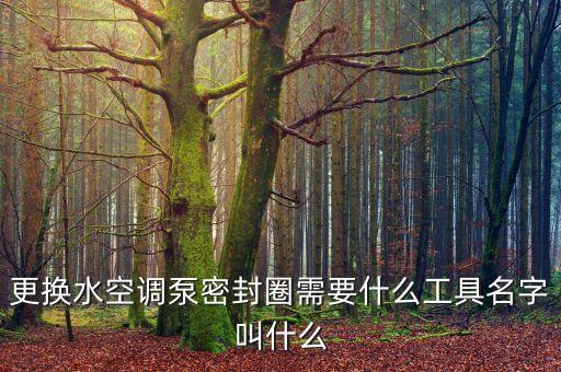 更換水空調(diào)泵密封圈需要什么工具名字叫什么
