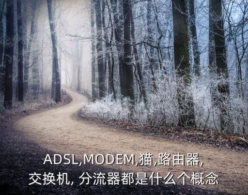 ADSL,MODEM,貓,路由器,交換機(jī), 分流器都是什么個(gè)概念