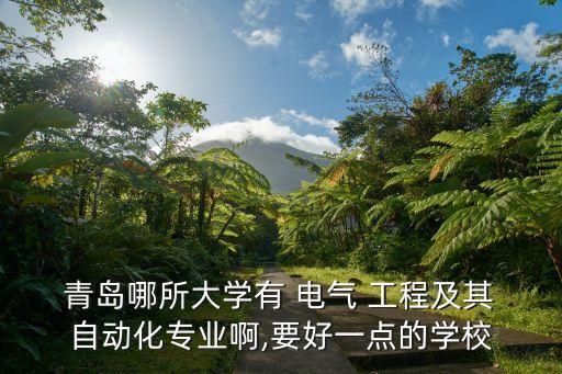  青島哪所大學(xué)有 電氣 工程及其 自動化專業(yè)啊,要好一點的學(xué)校