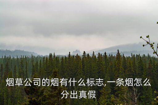 煙草公司的煙有什么標(biāo)志,一條煙怎么分出真假