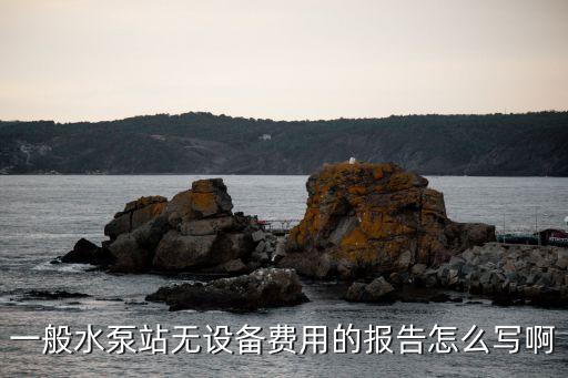 一般水泵站無設(shè)備費用的報告怎么寫啊
