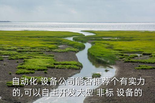  自動化 設(shè)備公司能否推薦個有實力的,可以自主開發(fā)大型 非標(biāo) 設(shè)備的