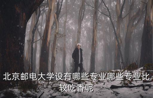 北京郵電大學設有哪些專業(yè)哪些專業(yè)比較吃香呢