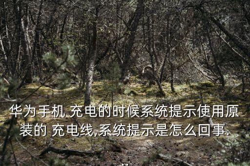 華為手機(jī) 充電的時(shí)候系統(tǒng)提示使用原裝的 充電線,系統(tǒng)提示是怎么回事...