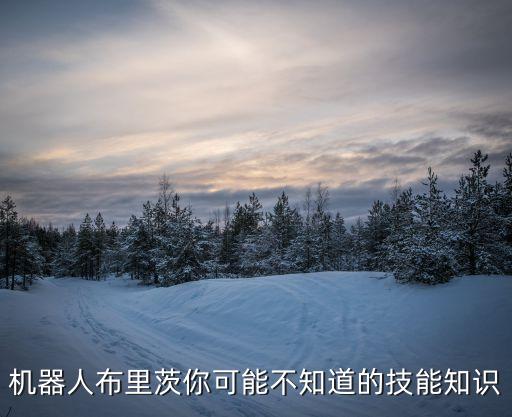 機(jī)器人布里茨你可能不知道的技能知識