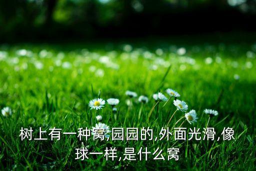 樹上有一種窩,園園的,外面光滑,像球一樣,是什么窩