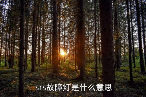  srs故障燈是什么意思