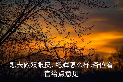 想去做雙眼皮, 紀(jì)輝怎么樣,各位看官給點(diǎn)意見