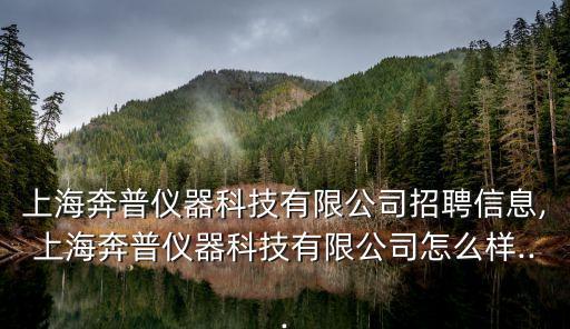 上海奔普儀器科技有限公司招聘信息,上海奔普儀器科技有限公司怎么樣...