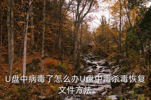 U盤(pán)中病毒了怎么辦U盤(pán)中毒殺毒恢復(fù)文件方法