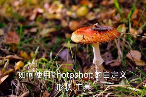 如何使用Photoshop的自定義 形狀 工具