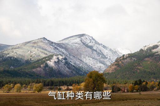 氣缸種類有哪些