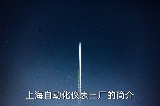 上海自動化儀表三廠的簡介