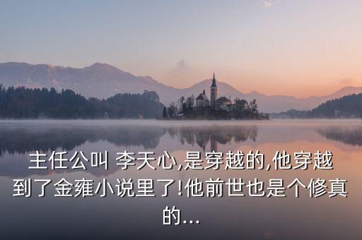 主任公叫 李天心,是穿越的,他穿越到了金雍小說里了!他前世也是個(gè)修真的...