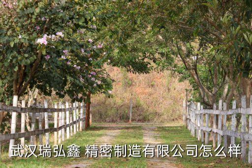 武漢瑞弘鑫 精密制造有限公司怎么樣