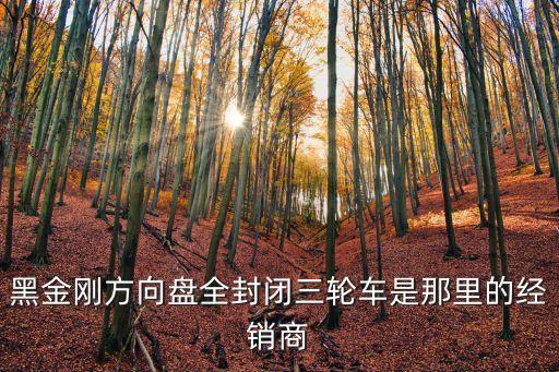 黑金剛方向盤全封閉三輪車是那里的經(jīng)銷商
