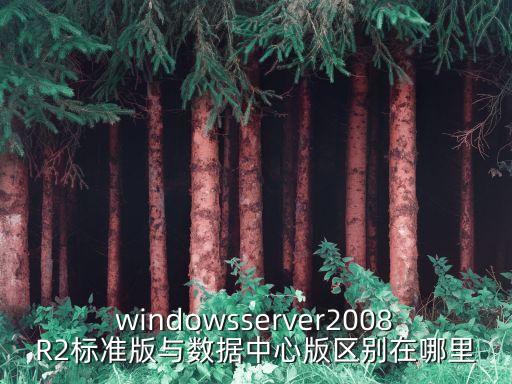 windowsserver2008R2標(biāo)準(zhǔn)版與數(shù)據(jù)中心版區(qū)別在哪里