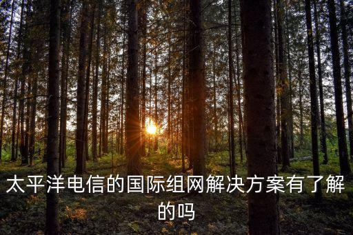 太平洋電信的國際組網(wǎng)解決方案有了解的嗎