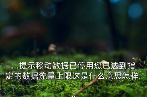 數(shù)據(jù)流量停用了怎么辦,手機(jī)停用數(shù)據(jù)流量怎么辦?