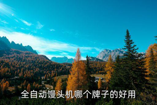 全自動饅頭機哪個牌子的好用