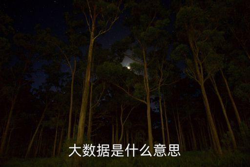 大數據是什么意思