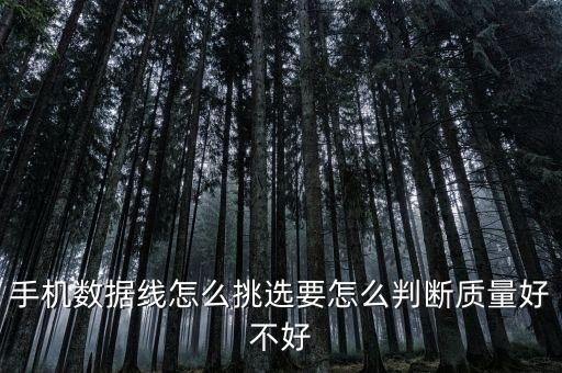 手機數(shù)據(jù)線怎么挑選要怎么判斷質(zhì)量好不好