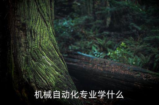 機械自動化專業(yè)學什么