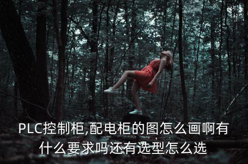 PLC控制柜,配電柜的圖怎么畫啊有什么要求嗎還有選型怎么選