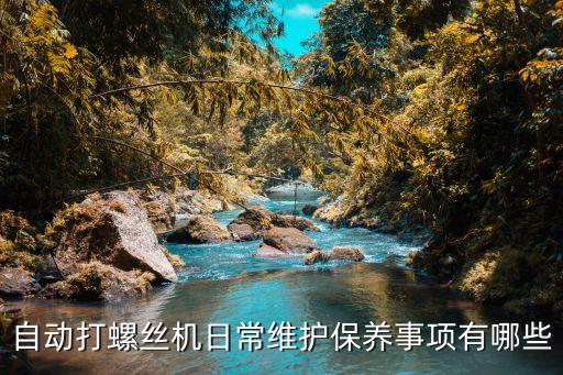 自動(dòng)打螺絲機(jī)日常維護(hù)保養(yǎng)事項(xiàng)有哪些